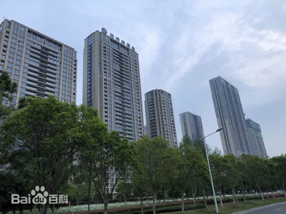 左手视频电缆助力苏州湾景苑项目建设