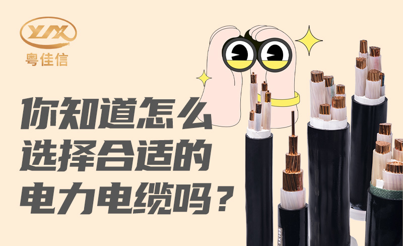 你知道怎么选择合适的左手视频app下载吗？