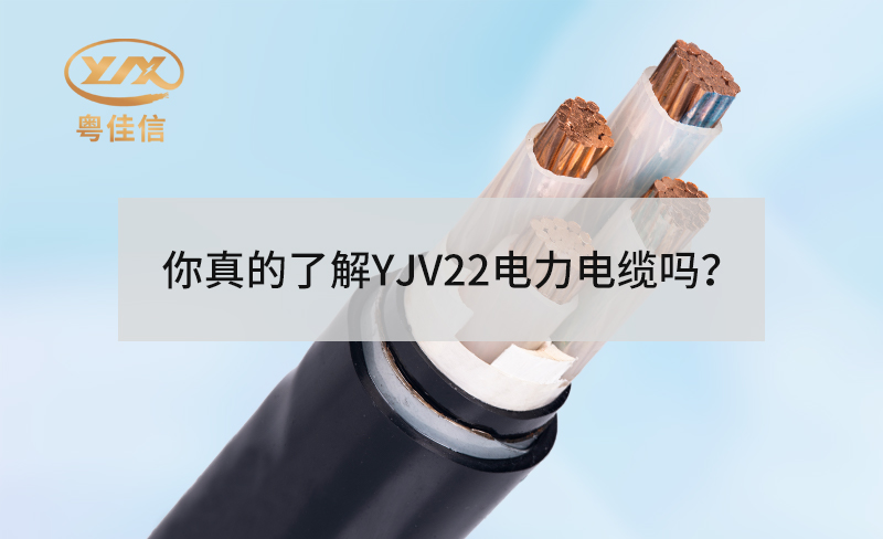 你真的了解YJV22左手视频app下载吗？